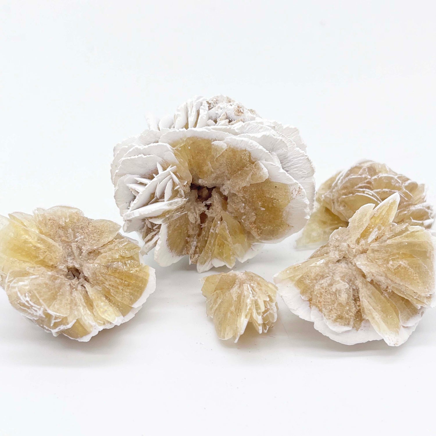 desert rose selenite cluster. imperfect crystals and minerals