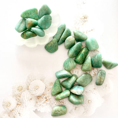 Amazonite mini tumble stone chips