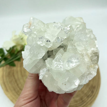 White apophyllite cluster