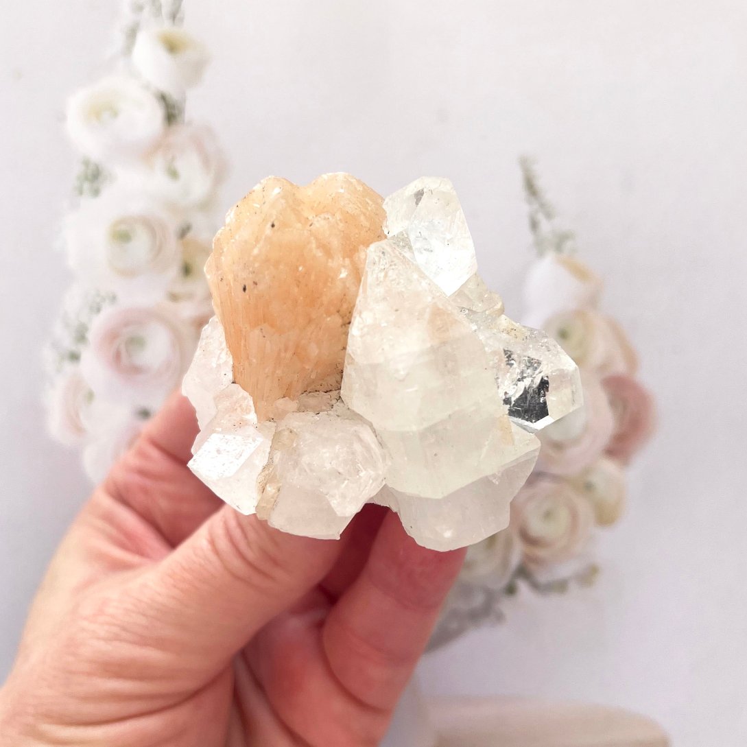 Apophyllite cluster with peach still bite