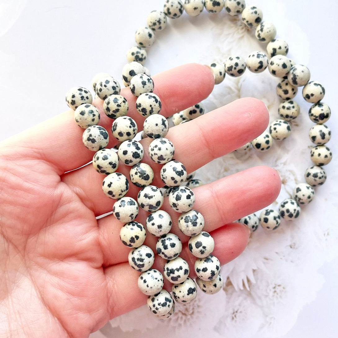 Dalmatian bracelet crystal jewellery 8mm