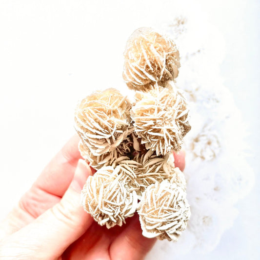 Desert rose selenite cluster