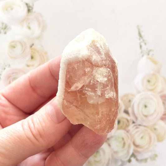 Pink lemurian creamsicle