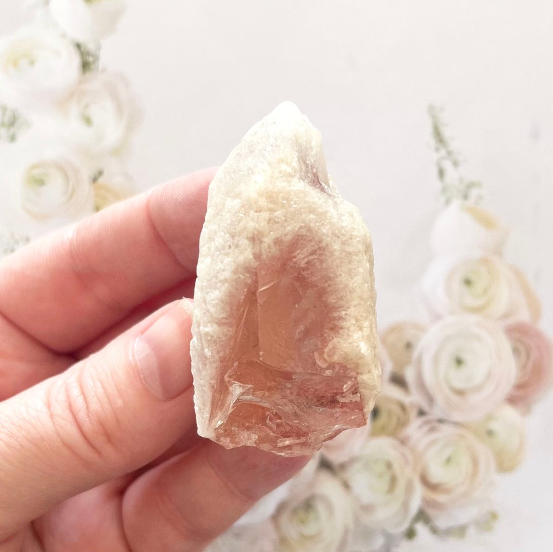 Pink lemurian creamsicle