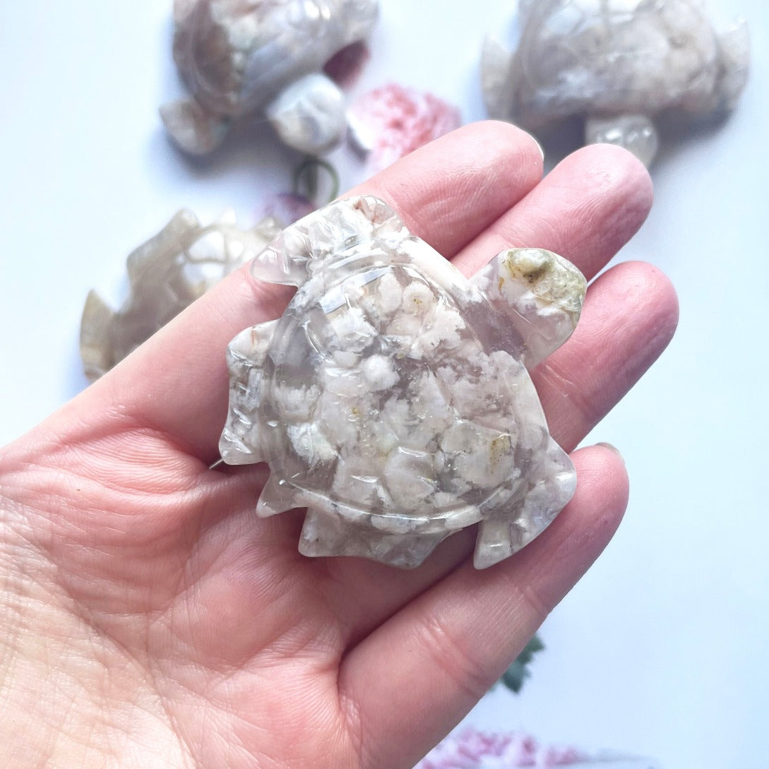 Flower agate turtle