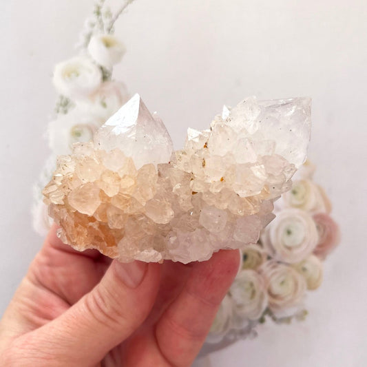 Cactus quartz cluster