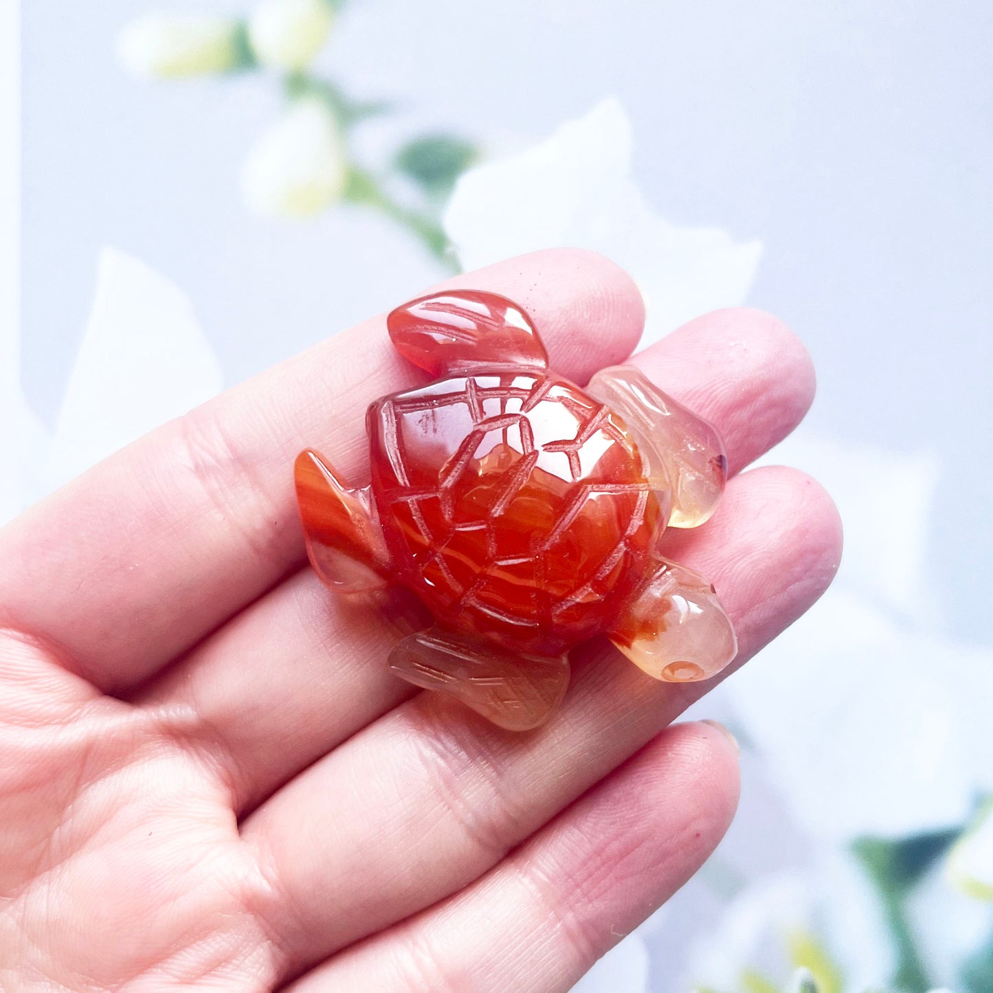 Carnelian Turtle