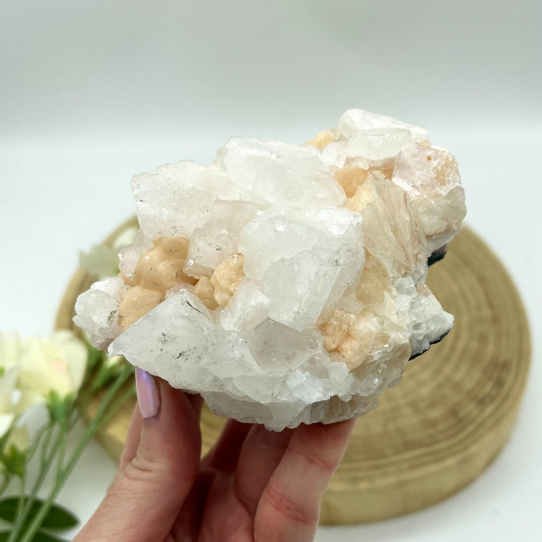 Apophyllite Cluster | Crystals | Crystal Decor | Raw Crystals | Rough Crystals buy | Crystal Shop Perth Australia | Space Clearing | Intuition