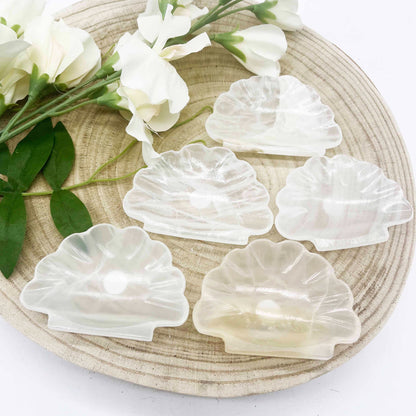 onyx shell trinket dish